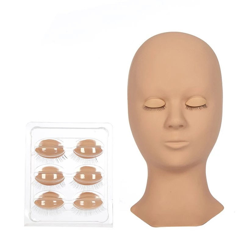 Human head mold practice Human head mold practice