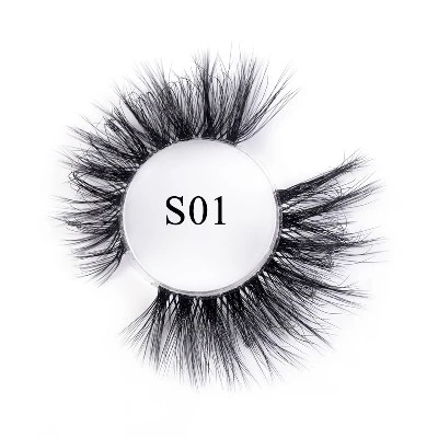 S01 S01